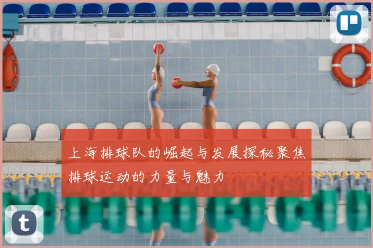 上海排球队的崛起与发展探秘聚焦排球运动的力量与魅力