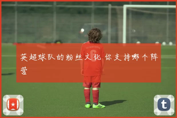 英超球队的粉丝文化 你支持哪个阵营