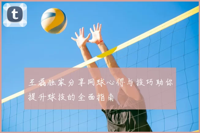 王磊独家分享网球心得与技巧助你提升球技的全面指南