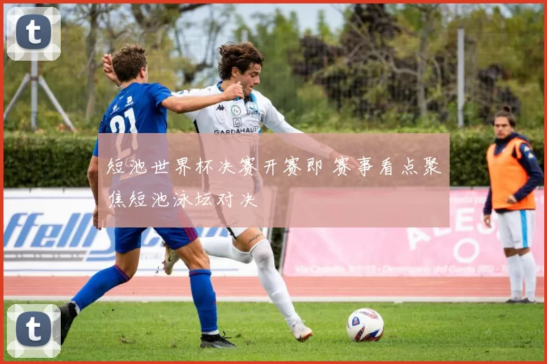 短池世界杯决赛开赛即 赛事看点聚焦短池泳坛对决