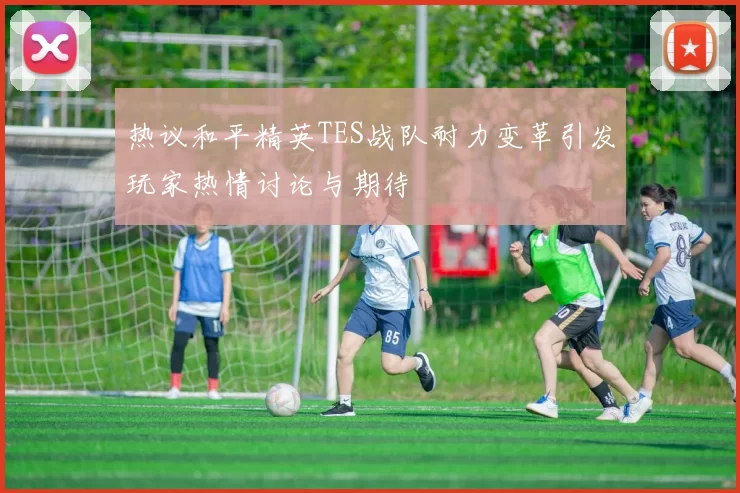 热议和平精英TES战队耐力变革引发玩家热情讨论与期待