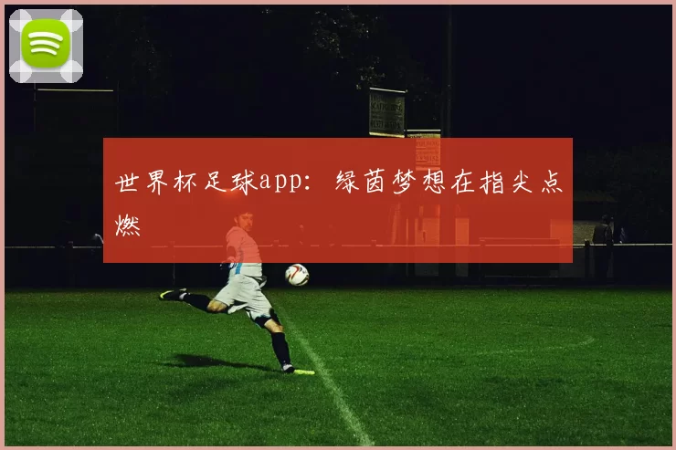世界杯足球app:绿茵梦想在指尖点燃