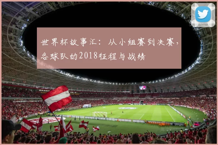 世界杯故事汇:从小组赛到决赛,各球队的2018征程与战绩