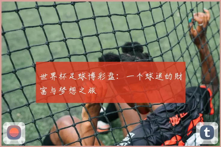世界杯足球博彩盘:一个球迷的财富与梦想之旅