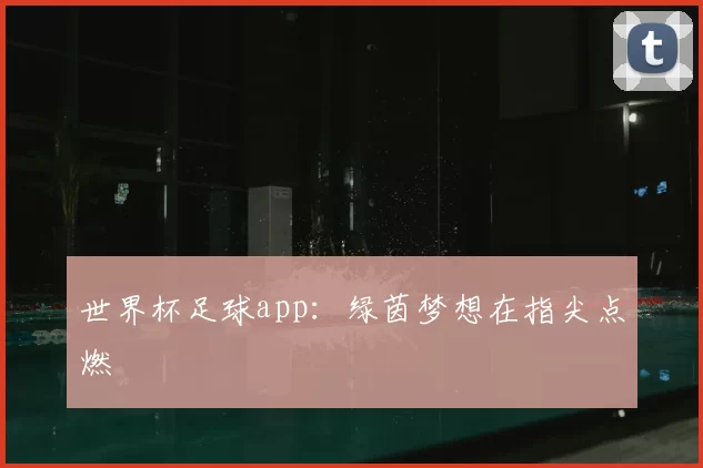 世界杯足球app:绿茵梦想在指尖点燃