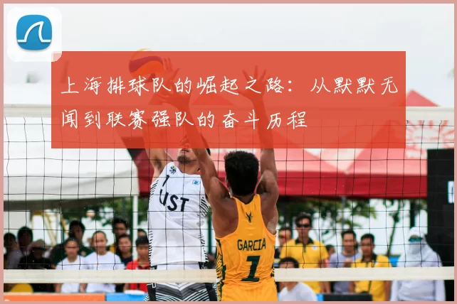 上海排球队的崛起之路:从默默无闻到联赛强队的奋斗历程