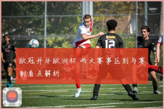 欧冠并非欧洲杯 两大赛事区别与赛制看点解析