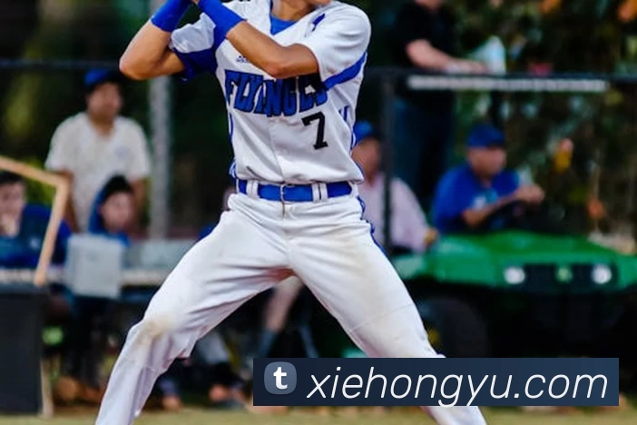 十大信誉好的平台发展历程